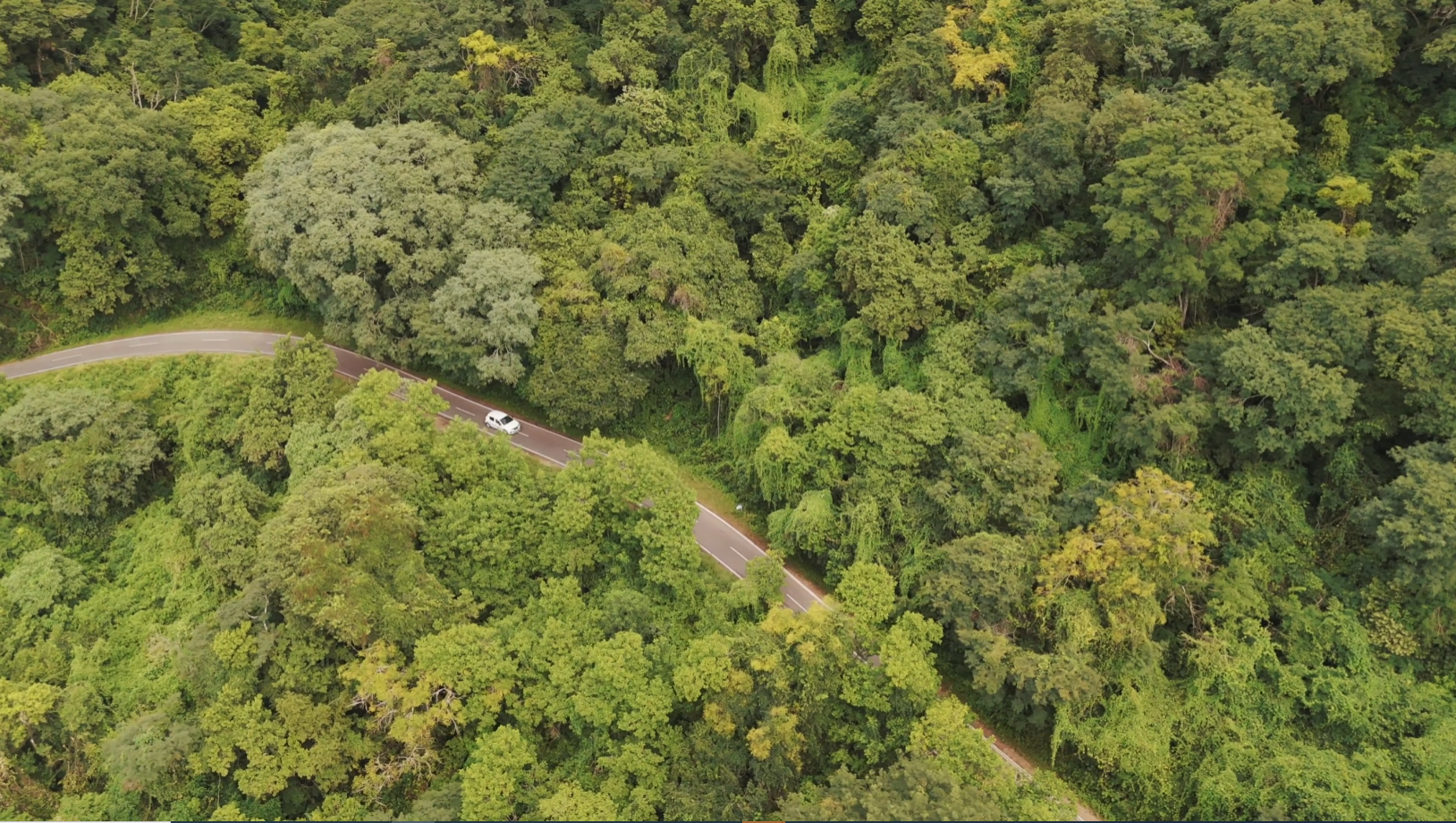 漫漫旅遊趣 優質接送、包車